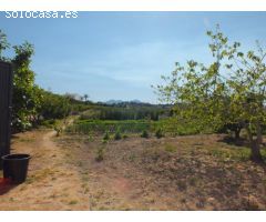 FINCA LUJO CON 11.000 m² DE TERRENO EN CALPE/TEULADA (COSTA BLANCA)