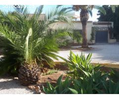 Exclusiva parcela urbana de 2.286 m2 con casa para reformar a 600 m de la playa en Calpe (Costa Blan