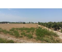 Finca rústica de 26715 m2 con casa en Daya Nueva (Costa Blanca Sur)