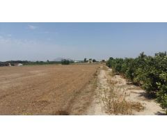 Finca rústica de 26715 m2 con casa en Daya Nueva (Costa Blanca Sur)