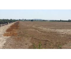 Finca rústica de 26715 m2 con casa en Daya Nueva (Costa Blanca Sur)