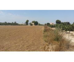 Finca rústica de 26715 m2 con casa en Daya Nueva (Costa Blanca Sur)