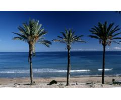 Bungalow en Venta en Pilar de la Horadada, Alicante