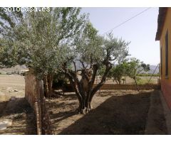 Casa de 150 m2 en terreno de 7.000 m2 en Orihuela (Alicante)