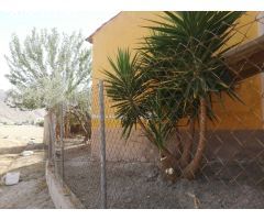 Casa de 150 m2 en terreno de 7.000 m2 en Orihuela (Alicante)