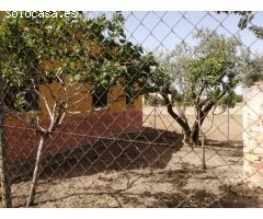 Casa de 150 m2 en terreno de 7.000 m2 en Orihuela (Alicante)
