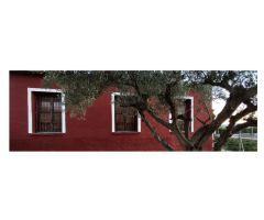 Casa de 150 m2 en terreno de 7.000 m2 en Orihuela (Alicante)
