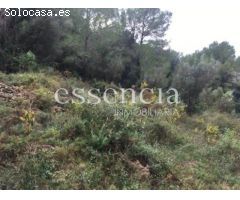 Finca rústica a la venta por 86.500€ de 166.200m² en calle paraje font del garrofer-jericull, nº s/n