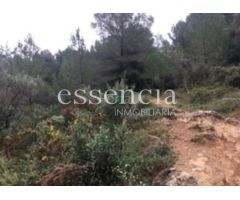 Finca rústica a la venta por 86.500€ de 166.200m² en calle paraje font del garrofer-jericull, nº s/n