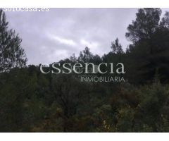 Finca rústica a la venta por 86.500€ de 166.200m² en calle paraje font del garrofer-jericull, nº s/n