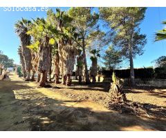 CHALET EN MARXUQUERA EN PARCELA DE 3640 M2 CON DOS CASAS INDEPENDIENTES.