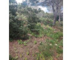 Terreno Urbano Urb. La Serreta