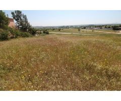 Terreno rural en Venta en Esparragalejo, Badajoz