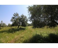 Terreno rural en Venta en Esparragalejo, Badajoz