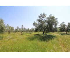 Terreno rural en Venta en Esparragalejo, Badajoz