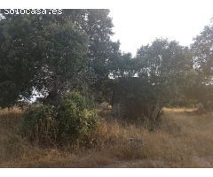 Terreno rural en Venta en Esparragalejo, Badajoz