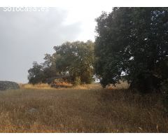 Terreno rural en Venta en Esparragalejo, Badajoz