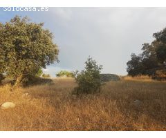 Terreno rural en Venta en Esparragalejo, Badajoz