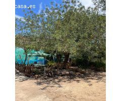 Chalet en Venta en Turiso, Valencia