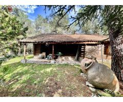 Vivienda de 75m2 en una única planta rodeada de un precioso bosque en terreno urbano de 10.117m2.