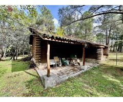 Vivienda de 75m2 en una única planta rodeada de un precioso bosque en terreno urbano de 10.117m2.