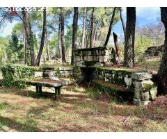 Vivienda de 75m2 en una única planta rodeada de un precioso bosque en terreno urbano de 10.117m2.