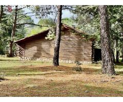 Vivienda de 75m2 en una única planta rodeada de un precioso bosque en terreno urbano de 10.117m2.
