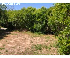 TERRENO EN VENTA EN CASTELLNOU DE BAGES