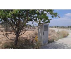 PARCELA INDUSTRIAL A LA VENTA EN PLA DE CARRASES