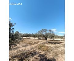 Chalet en Venta en Sax, Alicante