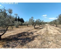 Chalet en Venta en Sax, Alicante