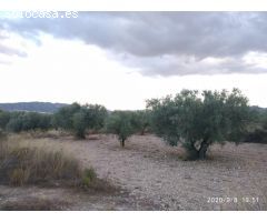 Parcela en Venta en Salinas de Añana, Alicante