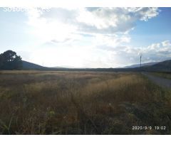 Parcela en Venta en Monóvar, Alicante