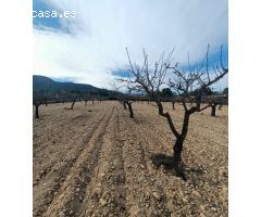 Parcela en Venta en Sax, Alicante