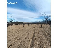 Parcela en Venta en Sax, Alicante