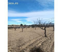 Parcela en Venta en Sax, Alicante