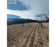 Parcela en Venta en Sax, Alicante