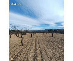 Parcela en Venta en Sax, Alicante