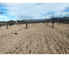 Parcela en Venta en Sax, Alicante