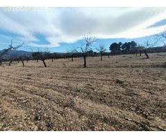 Parcela en Venta en Sax, Alicante