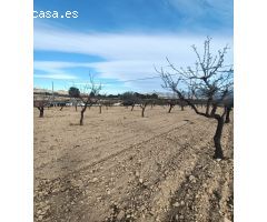 Parcela en Venta en Sax, Alicante