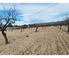 Parcela en Venta en Sax, Alicante