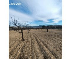 Parcela en Venta en Sax, Alicante