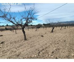 Parcela en Venta en Sax, Alicante