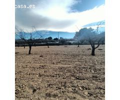 Parcela en Venta en Sax, Alicante