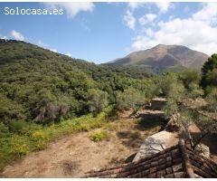 Finca en Alquiler en Casares, Málaga