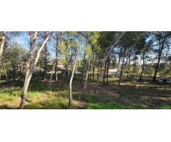 Pareado en Venta en Chiva de Morella, Valencia
