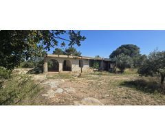 Chalet en Pedralba