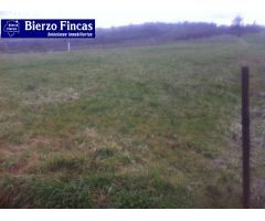 SE VENDE FINCA DE 2000M2 EN SAN ANDRES DE MONTEJOS