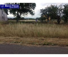 FINCA RUSTICA DE 5300 M2 EN DEHESAS